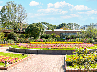 福岡市植物園