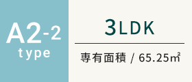 A2-2type