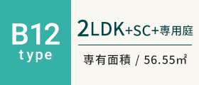 B12type