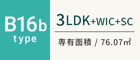 B16btype
