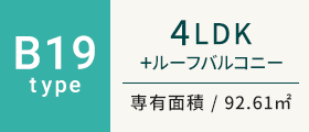 B19type