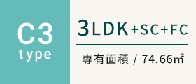 C3type